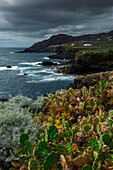 Spain, Canary Islands, La Palma, view of a rocky and volcanic coastline under a tropical and oceanic climate