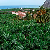 Spanien, Kanarische Inseln, La Palma, Blick auf ein Luxushotel inmitten einer Bananenplantage am Meer