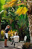 Spain, Canary Islands, La Palma, waitress serving a glass of orange juice to a customer in the lush tropical gardens of a luxury hotel