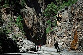 Spain, Canary Islands, La Palma, hikers in a dried up canyon in a mountainous and volcanic environment