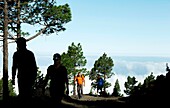 Spanien, Kanarische Inseln, La Palma, Wanderer auf einem Pfad in einem atlantischen Kiefernwald