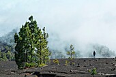 Spanien, Kanarische Inseln, La Palma, Wanderer auf einem Wanderweg in üppigem Grün in einer bergigen und vulkanischen Umgebung