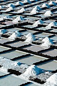 Spain, Canary Islands, La Palma, view of a sea salt saline