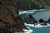 Spain, Canary Islands, La Palma, view of a rocky and volcanic coastline under a tropical and oceanic climate