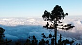 Spanien, Kanarische Inseln, La Palma