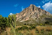 Italien, Sizilien, Cornino, Monte Cofano, 659 m