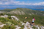 Griechenland, Ionische Inseln, Korfu, der Gipfel des Pantokrator, im Hintergrund Albanien