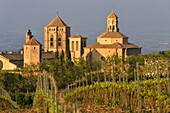 Spain, Catalonia, Tarragona Province, Conca de Barbera comarca, Vimbodi, La ruta del Cister, Monastery Santa Maria de Poblet, listed as World Heritage by UNESCO