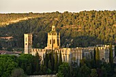 Spanien, Katalonien, Provinz Tarragona, Comarca Alt Camp, La ruta del Cister, Aiguamurcia, Kloster Santes Creus