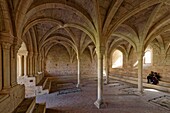 Spain, Catalonia, Tarragona Province, Alt Camp comarca, La ruta del Cister, Aiguamurcia, monastery of Santes Creus, the cloister, Chapter Room