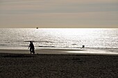 Belgien, Westflandern, Ostende, Strand bei Sonnenuntergang