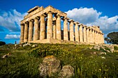 Italy, Sicily, Castelvetrano, ancient city of Selinonte, founded by Megarian Greeks in the 7th century B.C., E temple, dedicated to Hera