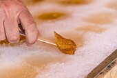 Kanada, Quebec, Trois-Rivières, Die Zuckerhütte Chez Dany