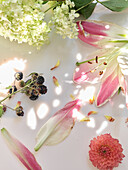 An airy composition of hydrangea flowers, scattered petals, and berries laid out on a white surface, softly illuminated by natural light