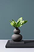 A creative arrangement of vibrant green spinach leaves emerging from a sleek, stacked black vase set against a soft green background.