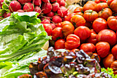 Vibrant assortment of fresh vegetables, featuring ripe tomatoes, radishes, and leafy greens arranged at a market