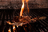 Ein saftiges Steak mit goldbrauner Kruste wird auf einem Grill gebraten, während die Flammen in einer rustikalen Umgebung im Freien an den Rändern lecken und die Essenz der traditionellen mexikanischen Hausmannskost einfangen.