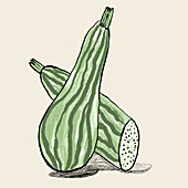 A textured digital drawing showcases a pair of zucchinis, one whole and one sliced, against a neutral beige backdrop.