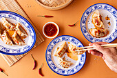 Tasty Asian dumplings garnished with sesame seeds and crushed red pepper, served on traditional blue-and-white porcelain plates with chopsticks and a spicy dipping sauce