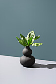 Lush green spinach leaves presented in a modern black vase, contrasted against a green background for a minimalist aesthetic.