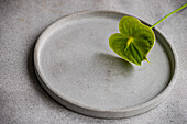 From above, a single Anthurium leaf elegantly rests on a textured concrete plate, showcasing simplicity and natural beauty.