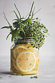 Fresh sliced lemons and aromatic herbs in a glass jar, set against a light background for a refreshing vibe.