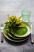 Elegant table setting featuring bright green ceramic plates, a decorative plant, cutlery, and a patterned glass on a textured surface.