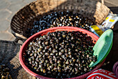 A vibrant display of freshwater river snails in red and natural woven baskets, typically sold in Hanoi streets. Essential in local cuisine and used in traditional dishes.