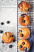 Freshly baked blueberry muffins cooling on a wire rack, displayed over a patterned tile background