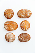 An array of freshly baked sourdough breads with distinct artisanal patterns, isolated on a clean white background.