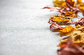 Ein beruhigendes Arrangement aus getrockneten, bunten Herbstblättern, die über einen strukturierten grauen Hintergrund verstreut sind und die Essenz des Herbstes einfangen