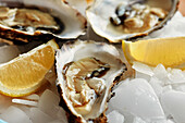 Top view of freshly shucked oysters presented on a bed of crushed ice, garnished with lemon wedges