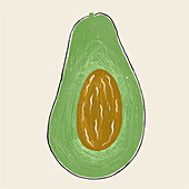 Illustration of a halved avocado showing the creamy flesh and large brown seed, on a beige background.