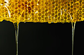 Closeup of yellow honeycomb with sweet liquid honey dripping on black background in studio