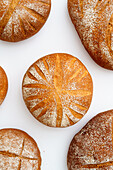 A selection of handcrafted sourdough breads with golden crusts dusted with flour on a pristine white background.