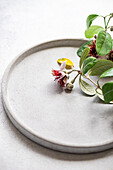 Elegant display of feijoa fruit with its distinctive flower and leaves on a textured ceramic plate, highlighting the natural beauty of this exotic fruit native to Brazil