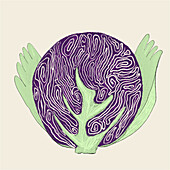 An artistic depiction of a vivid red cabbage, emphasizing the natural patterns and textures of the vegetable.