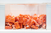 Close-up of juicy orange-flavored candy sticks coated with granulated sugar, displayed in a transparent jar