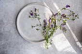 A top view of a minimalist summer table setting featuring a ceramic plate with delicate purple wildflowers on a textured surface, illuminated by soft sunlight.