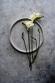 A minimalist table setting with fresh freesia flowers arranged elegantly on a textured concrete backdrop alongside a gray ceramic plate