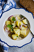 A delicious serving of German potato salad, featuring boiled potatoes, crisp red onions, and tangy fermented cucumbers, garnished with fresh parsley on a decorative white and blue-rimmed plate