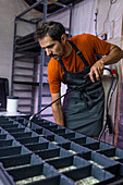 A focused male farmer carefully waters seed trays of microgreens in an indoor agricultural setting, wearing an orange shirt and striped apron