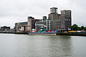 Rotterdam, Niederlande. Codrico Tierfutterfabrik im Hafen von Rotterdam Rijnhaven.