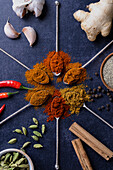 Minimalistic Indian spice blends on spoons with raw ingredients