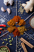 Indian spice blends on spoons with raw ingredients