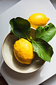 Lemons with leaves, freshly picked in a white bowl