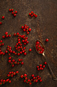 Redcurrants on a brown background