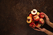 A Bowl of Peaches held by a pair of hands, with copy space