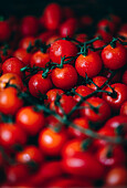 Cherry tomatoes on the vine, with a mist of water covering them