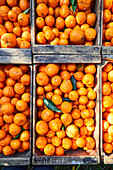 Mandarin-Orangen verpackt in Holzkisten